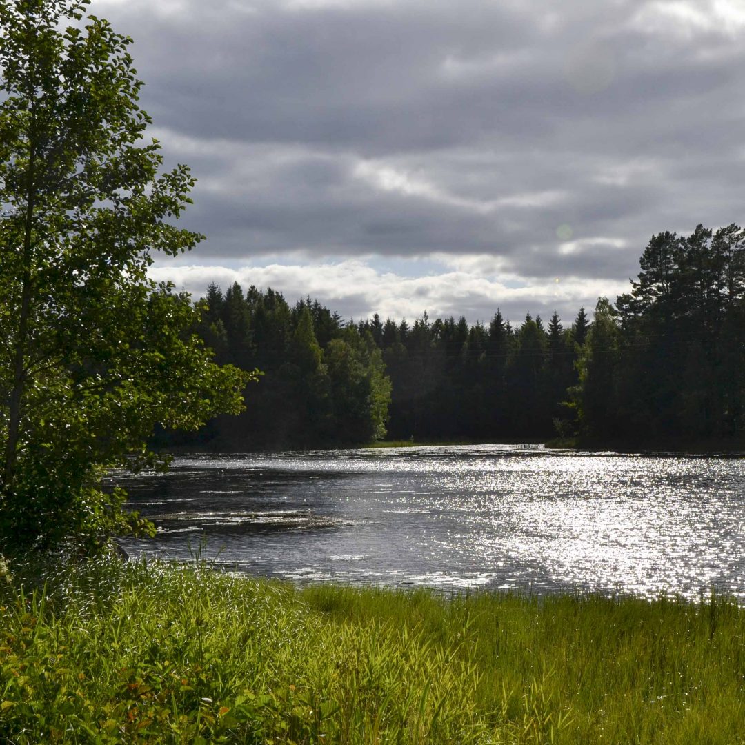 See umgeben von Wiese und Wald. Inklusive Sommerreise des Indiwi Berlins.